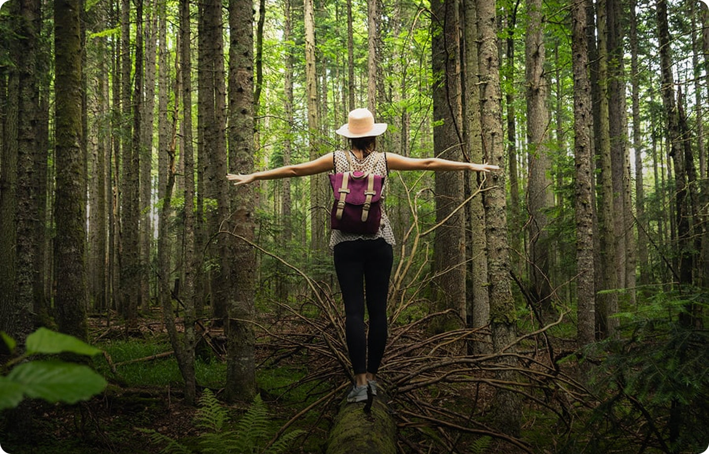 5 najboljših kav z gobami v Sloveniji – od najboljše do najslabše