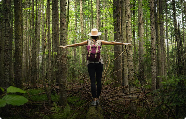 5 najboljših kav z gobami v Sloveniji – od najboljše do najslabše